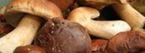 штрудель с лесными грибами и сыром. Шаг 4