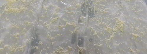 краб термидор в корзинке из тесто фило. Шаг 2