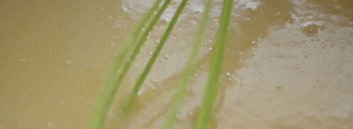 медовый торт полет шмеля. Шаг 10