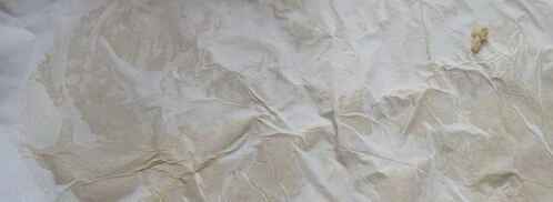 эклеры с фисташковым кремом. Шаг 2