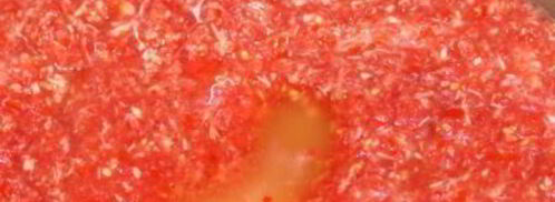 аджика по-сибирски жгучая. Шаг 3