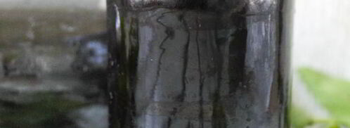 джем из черной смородины на зиму. Шаг 11