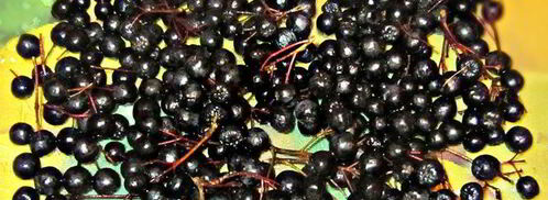 яблочный джем с черноплодной рябиной. Шаг 3