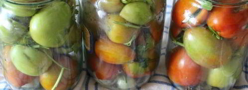 фаршированные зеленые помидоры на зиму. Шаг 3