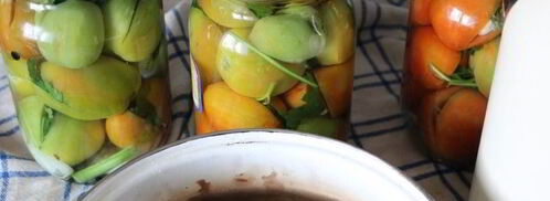 фаршированные зеленые помидоры на зиму. Шаг 6