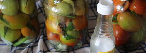 фаршированные зеленые помидоры на зиму. Шаг 8