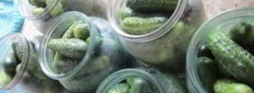 хрустящие огурчики на зиму. Шаг 2