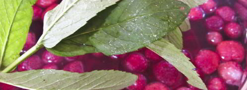 клубничный компот с мятой. Шаг 4