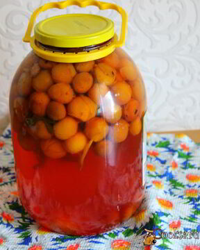 Компот из мелкой сливы с мятой