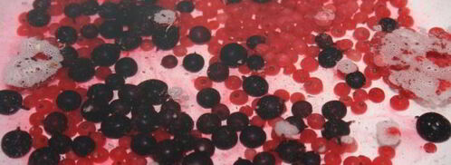 компот-крюшон со смородиной и гибридом мандарина с гранатом. Шаг 3