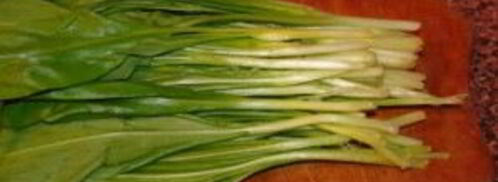 квашеная черемша. Шаг 3