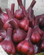 Чеснок маринованный со свеклой