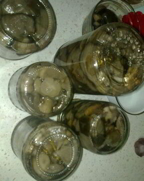 Маринованные грибочки