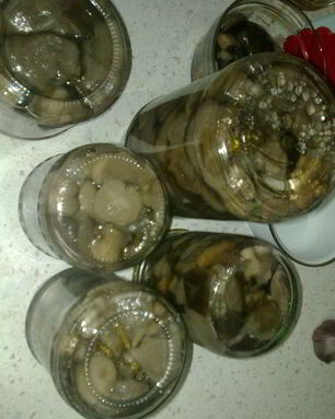 Маринованные грибочки