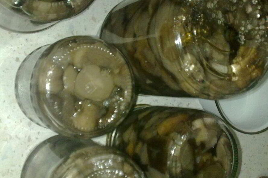 Рецепт маринованных грибочков