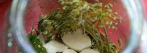 маринованные корнишоны в банках. Шаг 2