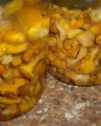 Маринованные лисички с чесноком