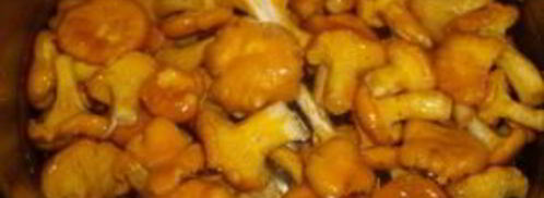 маринованные лисички с чесноком. Шаг 3