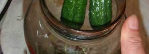 маринованные огурчики. Шаг 30