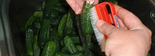 маринованные огурчики. Шаг 18