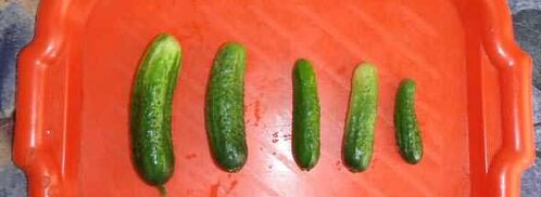 маринованные огурчики. Шаг 20