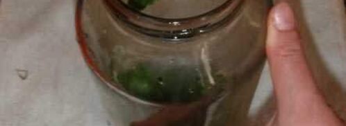 маринованные огурчики. Шаг 26