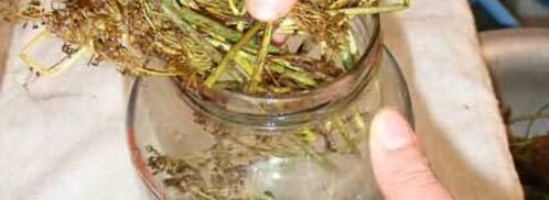 маринованные огурчики. Шаг 28