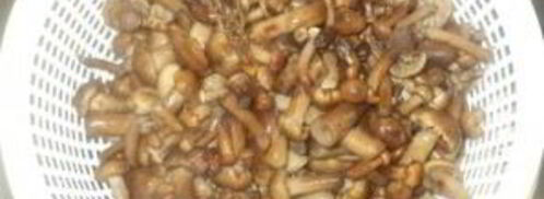 опята маринованные. Шаг 3