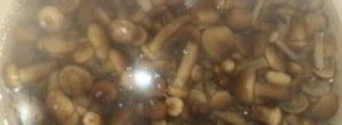 опята маринованные. Шаг 4