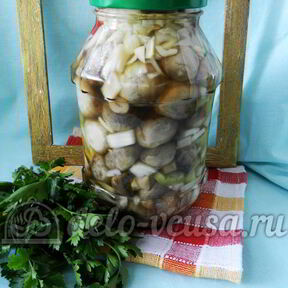 Маринованные шампиньоны