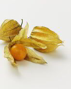 Овощной Физалис на зиму