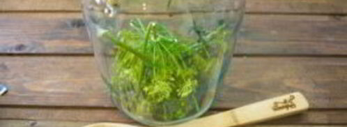 помидоры в банках на зиму. Шаг 2