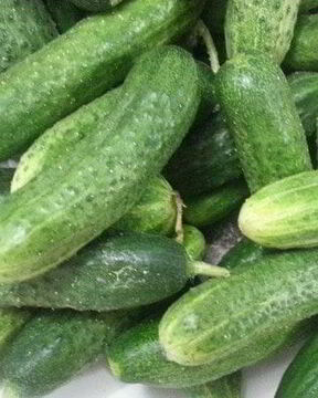 Хрустящие малосольные огурцы