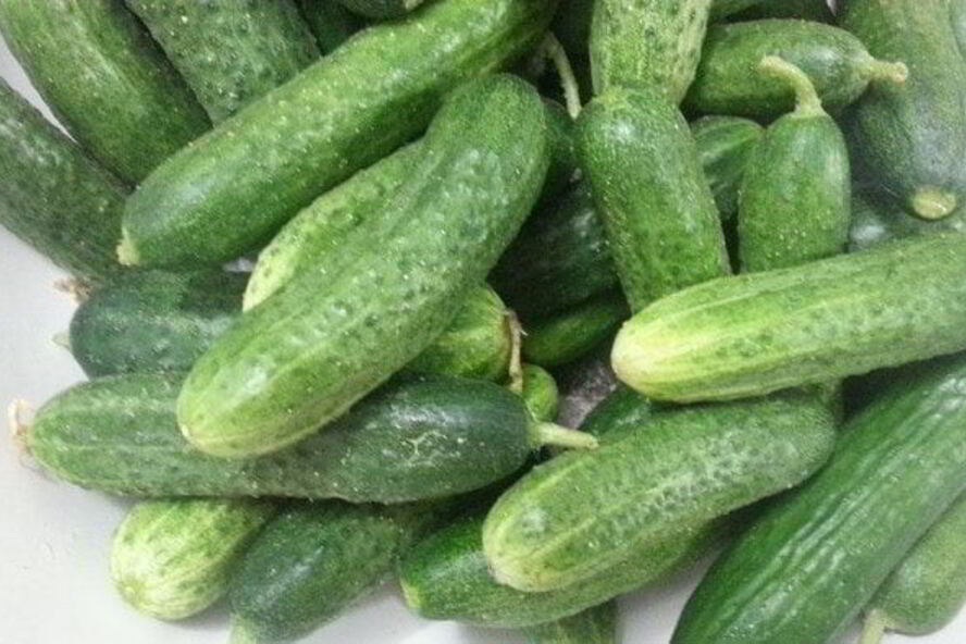 Рецепт хрустящих малосольных огурцов