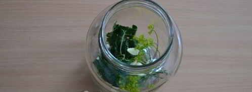 классические малосольные огурцы. Шаг 8