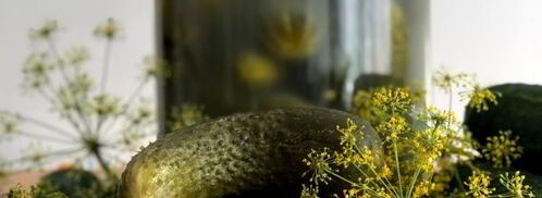 классические малосольные огурцы. Шаг 13