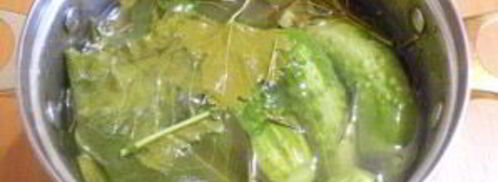 малосольные огурчики в кастрюле. Шаг 5