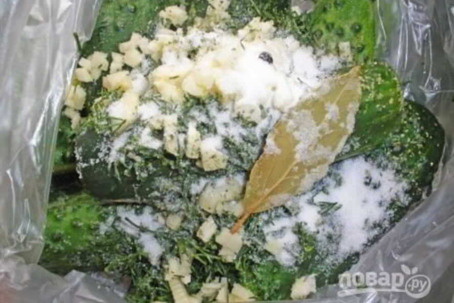 Рецепт малосольных огурцов хрустящих в пакете