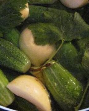 Малосольные огурцы с яблоками