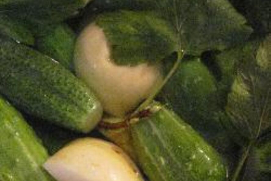 Рецепт малосольных огурцов с яблоками