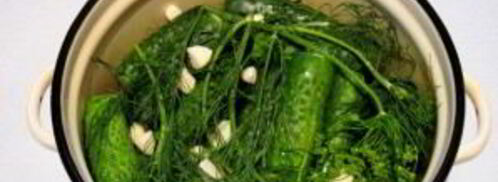 малосольные огурцы в кастрюле. Шаг 2