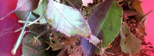 малосольные помидоры суточные. Шаг 3