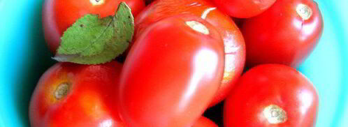 малосольные помидоры суточные. Шаг 4