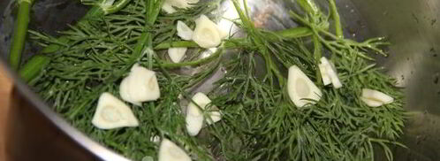 огурцы малосольные на минеральной воде. Шаг 3