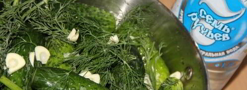 огурцы малосольные на минеральной воде. Шаг 4