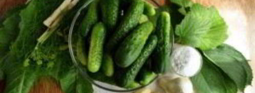 соленые огурцы на зиму в банках. Шаг 2