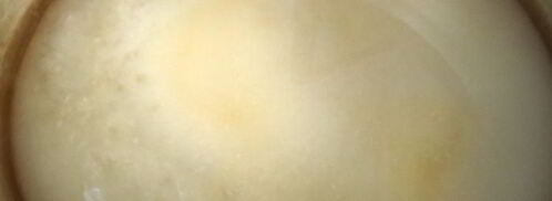 апельсиновые цукаты в сиропе. Шаг 5