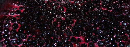 варенье из черноплодки на зиму. Шаг 2