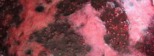 варенье из малины. Шаг 6