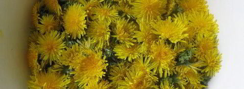 варенье из одуванчиков. Шаг 2